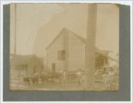 Photograph of men standing with cattle-drawn carts in front of a saw mill, Cairo, Georgia