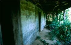 Chief White Path House