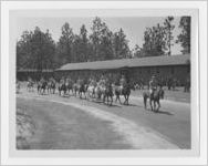 Photograph of men on horses, Bainbridge Army Airfield, Bainbridge, Georgia, 1944 June 15